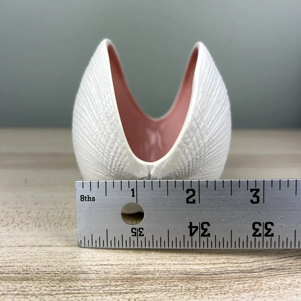 Ceramic Seashell Clam Shell Home Decor Vase Tray Beach Shore Vacation House Sea - Picture 9 of 9